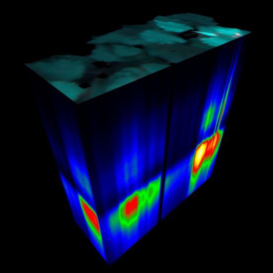 Hyperspectral data is captured along with other critical measurements in ORNL’s Advanced Plant Phenotyping Laboratory and then presented in a 3D cube. This hypercube shows spectral data collected from poplar trees. Credit: Hong-Jun Yoon and Stan Martin/ORNL, U.S. Dept. of Energy 