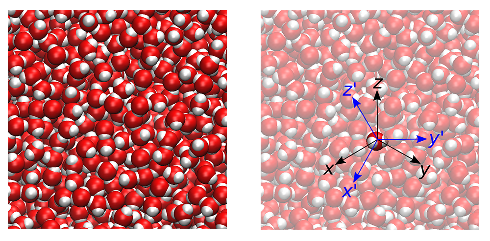 This schematic shows the rotational motion of a specific water molecule. At equilibrium, on average, the energy associated with rotational motion must equal the energy associated with the translation of the molecule as a whole. Credit: Dilip Asthagiri/ORNL, U.S. Dept. of Energy