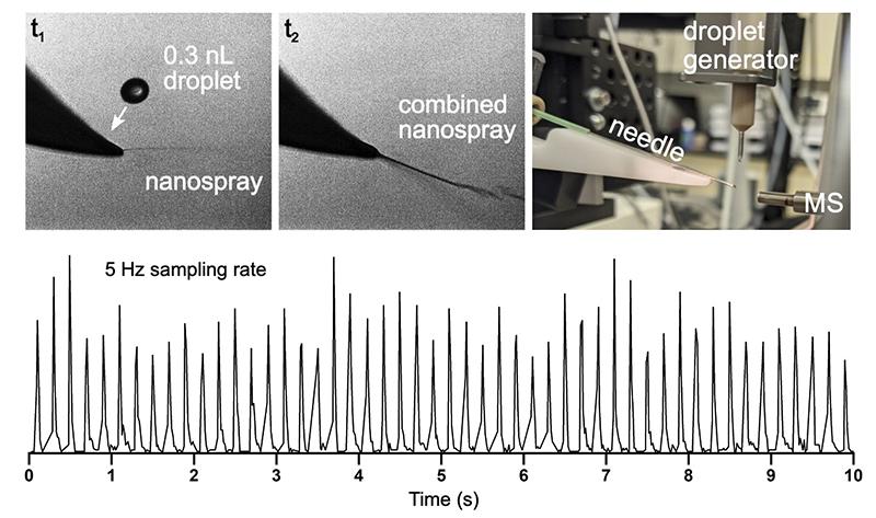 Rapid Droplet Sampling Interface