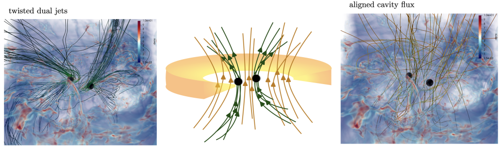 On the left, green field lines denote magnetic flux tubes threading the black holes. These are dragged along in a geometry resembling a dual jet configuration. At right, yellow field lines indicate the strong large-scale net vertical flux present in the cavity after decoupling.