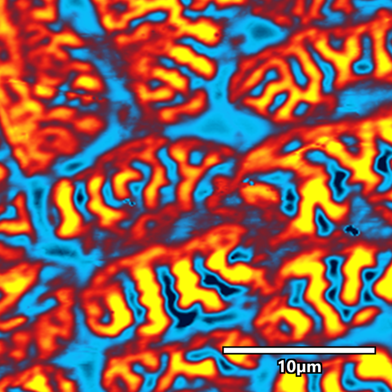 Picture shows magnetic domains in uranium with a blue and orange organic shapes, similar to lava flowing through water, but in graphic form
