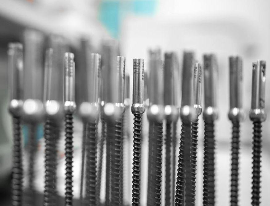 A group of 16 silver screws in a vertical position