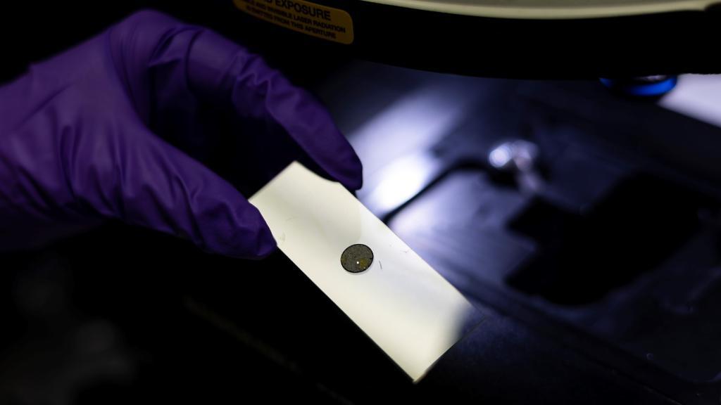 A close up of a hand in a purple glove, holding a white slide with a circle directly in the middle
