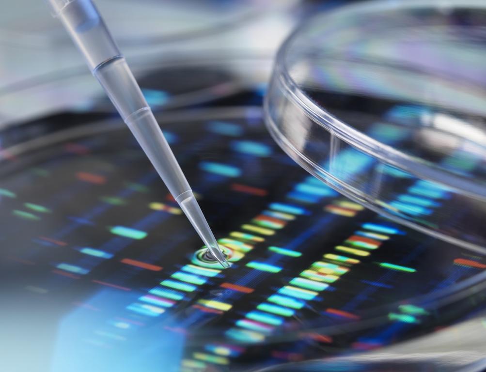 Pipette adding sample to petri dish with DNA profiles in background. Image from Envato