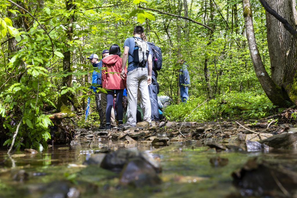 Group of visitors are walking along the creek at the Oak Ridge Reservation