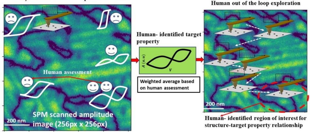 Human-AI collaborative solution for material characterization