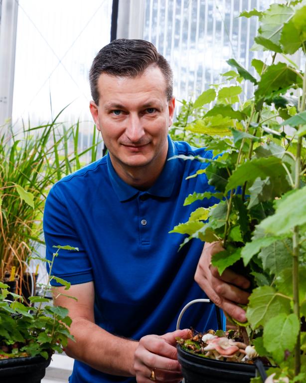 ORNL director of Biosciences Division is posing next to a big green leafy plant, framed on both sides and in the background.