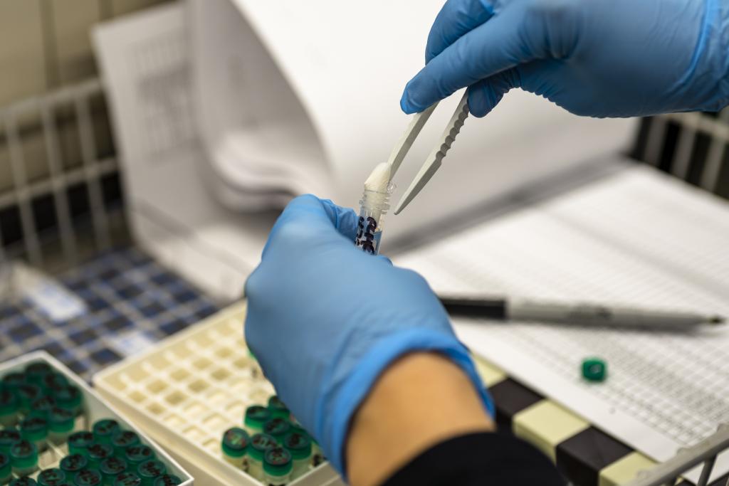 A researcher handles a sample.