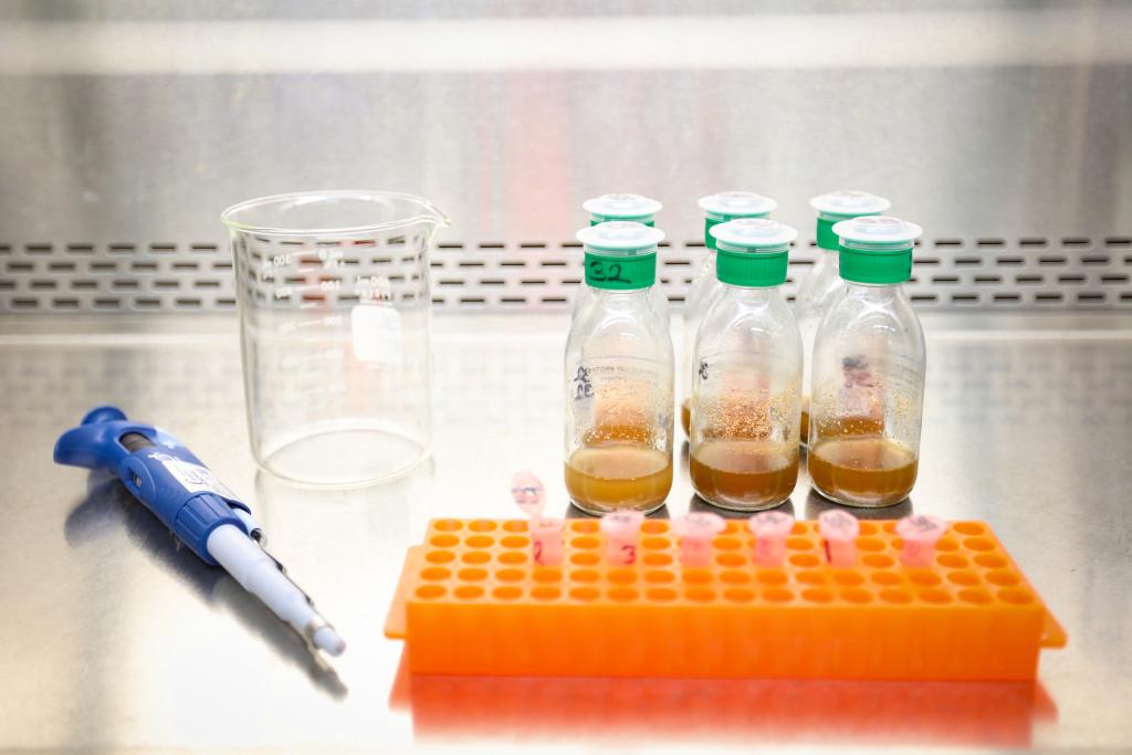 6 glass vials on a metal counter with a small amount of different biofuels