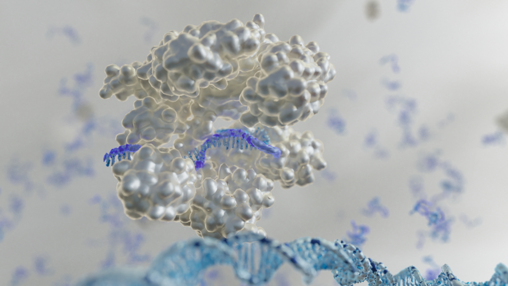 A 3D rendering of a large, white protein complex bound to a purple strand of guide RNA, which is aligned with a blue double-helix DNA strand. The background is a soft gray with scattered, blurred molecular shapes.