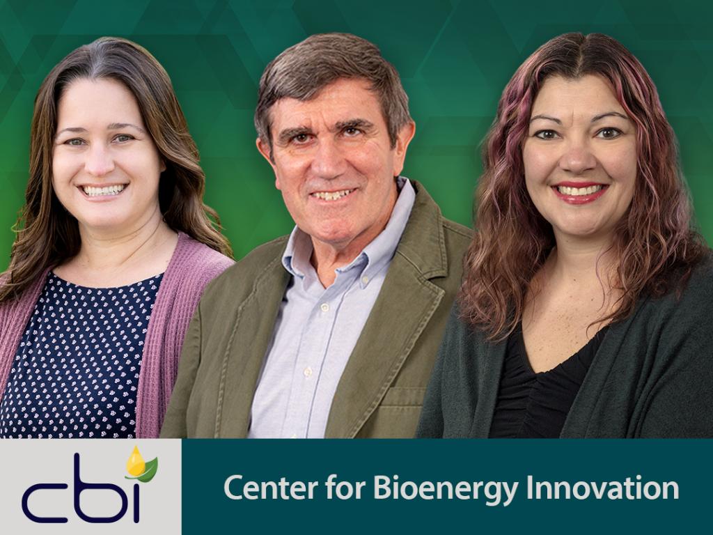 Three profile photos of ORNL researchers are cut out into one image representing three new members of leadership for the Center for Bioenergy Innovation