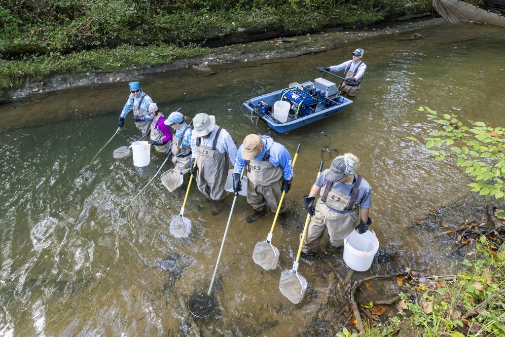 Five scientists and one in a boat are conducting fish sampling for the biological monitoring program on the DOE Oak Ridge Reservation.