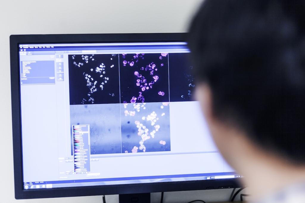 Cropped image of scientist using desktop PC in lab. Screen shows genetic information. Image from Envato