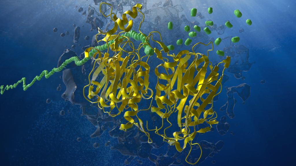 Colorful scientific illustration of an enzyme. A complex yellow ribbon structure represents the enzyme's folded protein chains, while green molecular shapes interact with the enzyme's active site. A twisted green strand on the left indicates a substrate or cofactor. Surrounding the enzyme are abstract blue water molecules and bubbles.