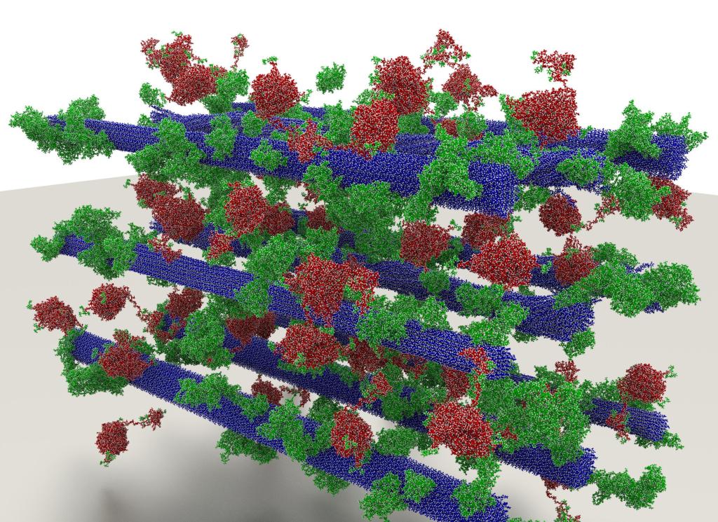 ORNL Image