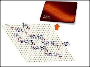 Extending Supramolecular Polymerization to New Lengths Extending Supramolecular Polymerization to New Lengths