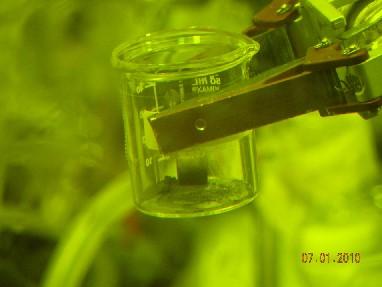 ORNL Image