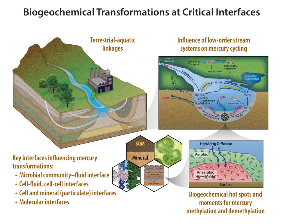 ORNL Image