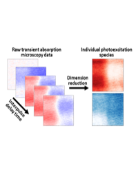 Multidimensional transient absorption microscopy data shows regions with either excitons (red) or free charge carriers (blue), but the majority of the image contains a mixture. Isolating the signatures of these distinct photoexcitations enables quantitati Multidimensional transient absorption microscopy data shows regions with either excitons (red) or free charge carriers (blue), but the majority of the image contains a mixture. Isolating the signatures of these distinct photoexcitations enables quantitati