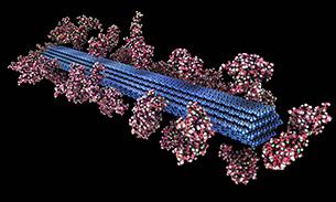 ORNL Image