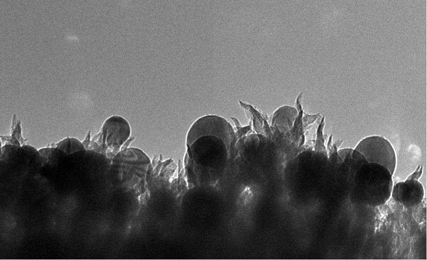 carbon nanospikes