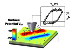 ORNL Image
