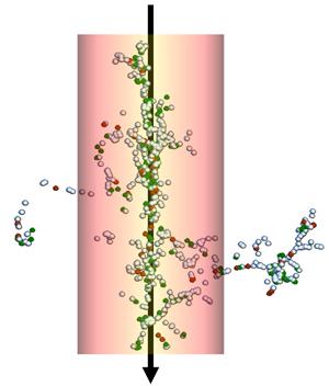 ORNL Image