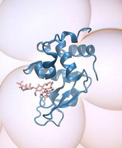 ORNL Image