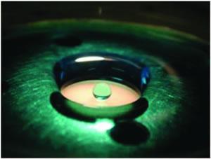 ORNL Image