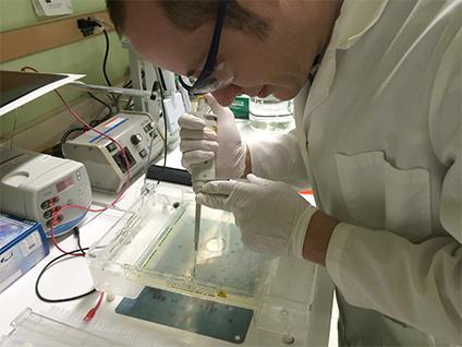 New molecular tool probes detect genes linked to toxic methylmercury New molecular tool probes detect genes linked to toxic methylmercury