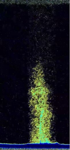 Neutron n radiograph of water uptake along and around a fracture in a sample of Mancos Shale