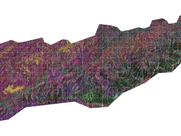 This ORNL-developed map depicts different classes of vegetation canopy structure in the Tennessee portion of the Great Smoky Mountains National Park.