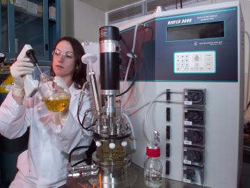 ORNL Image
