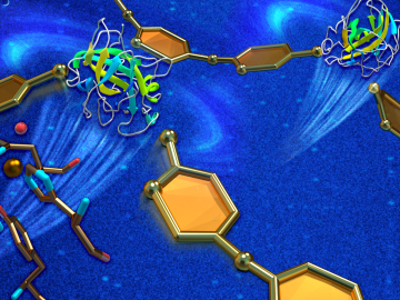 A combination of X-ray and neutron scattering has revealed new insights into how a highly efficient industrial enzyme is used to break down cellulose. Knowing how oxygen molecules (red) bind to catalytic elements (illustrated by a single copper ion).