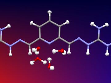 Using neutrons from the TOPAZ beamline, which is optimal for locating hydrogen atoms in materials, ORNL researchers observed a single-crystal neutron diffraction structure of the insoluble carbonate salt formed by absorption of carbon dioxide from the air. 