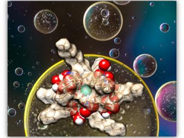 Peculiar outer-sphere water coordination of trivalent lanthanide complexes is shown in experiment and computation to correlate with the lanthanide selectivity of a diglycolamide ligand in the  biphasic separation system