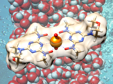 Combining fundamental chemistry with high-performance computing resources at ORNL, researchers demonstrate a more efficient method for recovering uranium from seawater, unveiling a prototype material that outperforms best-in-class uranium adsorbents. Credit: Alexander Ivanov/Oak Ridge National Laboratory, U.S. Dept. of Energy.