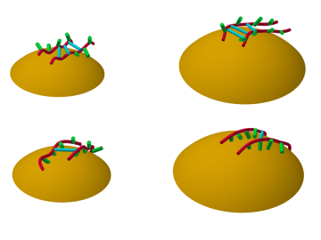 Batteries—Polymers that bind