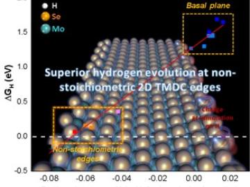 Optimal Electrocatalytic Hydrogen Evolution in 2D TMDs