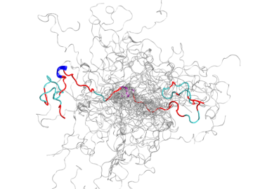 The configurational ensemble (a collection of 3D structures) of an intrinsically disordered protein, the N-terminal of c-Src kinase, which is a major signaling protein in humans. Credit: Oak Ridge National Laboratory, U.S. Dept. of Energy. 