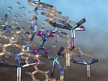 Illustration of a nitrogen dioxide molecule (depicted in blue and purple) captured in a nano-size pore of an MFM-520 metal-organic framework material as observed using neutron vibrational spectroscopy at Oak Ridge National Laboratory. Image credit: ORNL/Jill Hemman