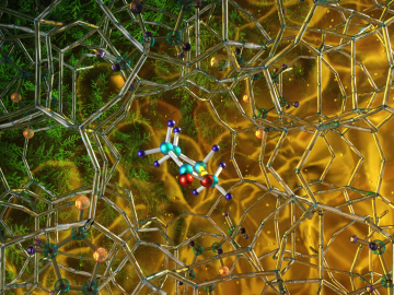 Illustration of the optimized zeolite catalyst, or NbAlS-1, which enables a highly efficient chemical reaction to create butene, a renewable source of energy, without expending high amounts of energy for the conversion. Credit: Jill Hemman, Oak Ridge National Laboratory/U.S. Dept. of Energy