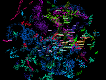 The image visualizes how the team’s multitask convolutional neural network classifies primary cancer sites. Image credit: Hong-Jun Yoon/ORNL