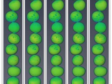 Nuclear — Seeing inside particles