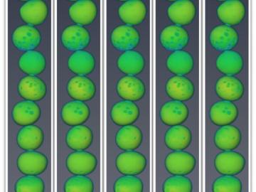 Nuclear — Seeing inside particles 