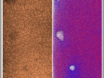 scanning transmission electron microscopy