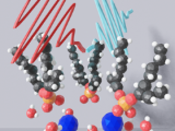 (a) Cartoon of di(2-ethylhexyl) phosphoric acid (DEHPA) ligands assembled into an aggregate by Co2+ ions and water being probed by intense laser pulses to selectively report on the buried liquid/liquid interface in situ. The assembly kinetics (b) and quantities related to the surface potential are mapped in time with vibrational sum frequency generation spectroscopy (vSFG) for the first time to show how the interface transforms during an extraction to form micellar structures found in the bulk. 