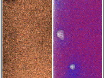 Scanning transmission electron microscopy (left) shows voids as dark regions in a sample of NiCoCr, whereas correlative APT reconstruction (right) shows the same voids identified by aberrations (white) and Co enrichment (blue) near voids. 