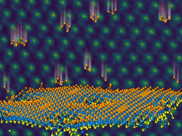 Selenium atoms, represented by orange, implant in a monolayer of blue tungsten and yellow sulfur to form a Janus layer. In the background, electron microscopy confirms atomic positions. Credit: Oak Ridge National Laboratory, U.S. Dept. of Energy
