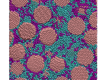 Simulation of short polymer chains